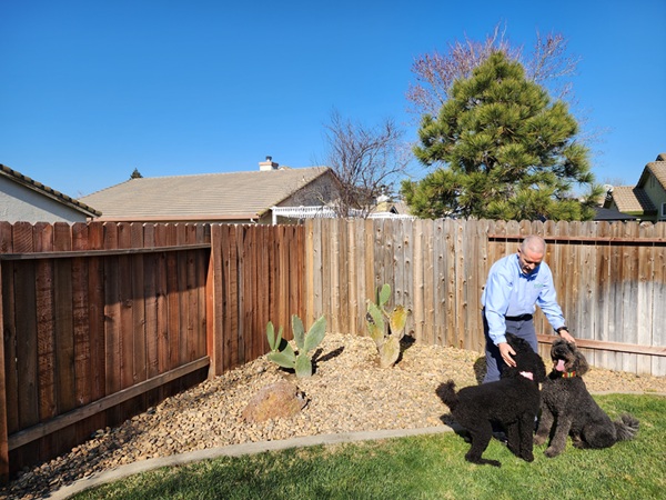 prize-pest-control-flea-and-tick-treatments