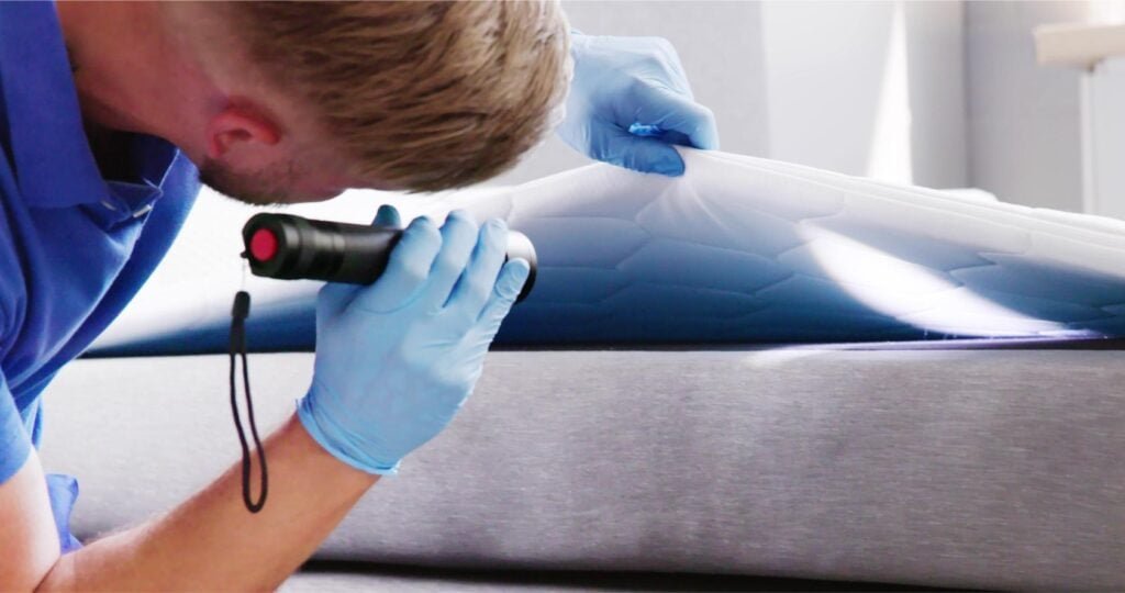 Person inspecting for bed bugs under bedsheet with flashlight