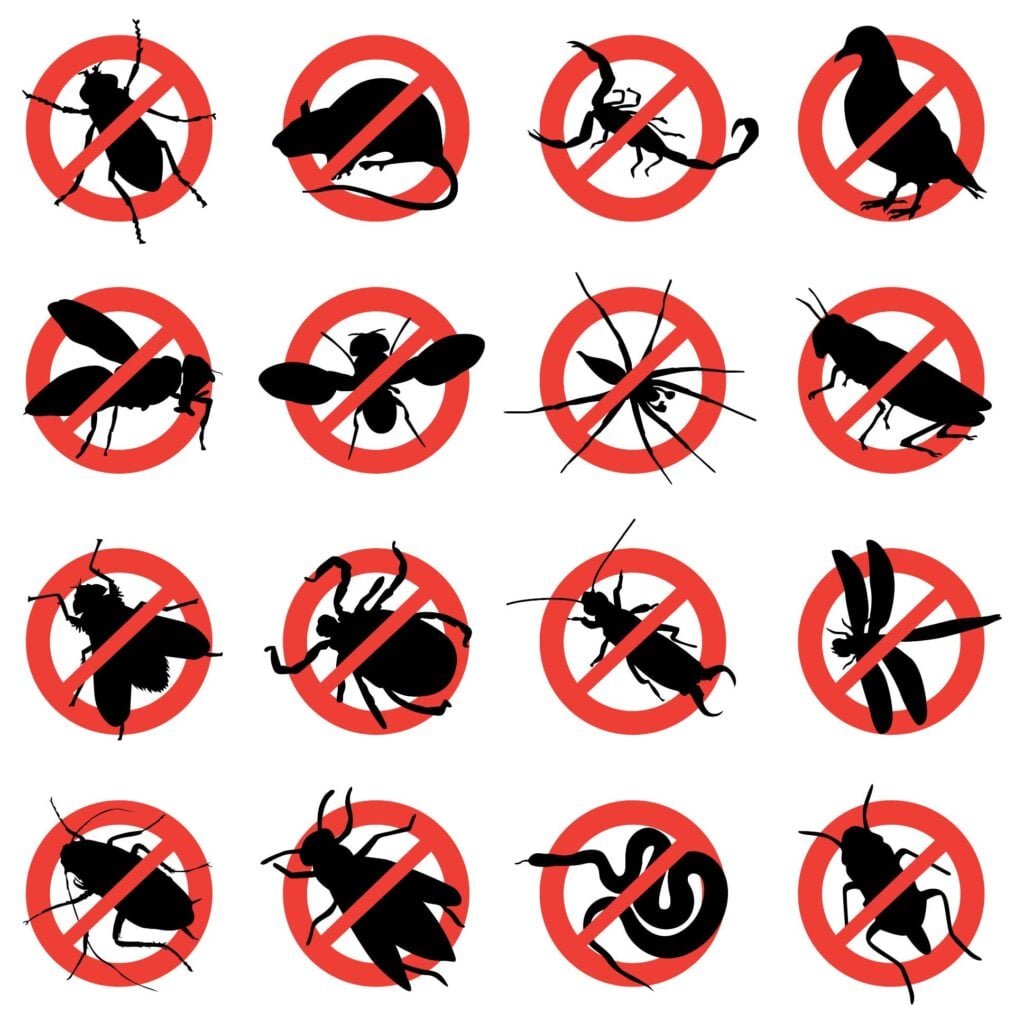 Various types of pests including ants