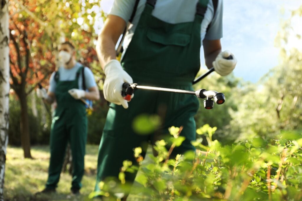 Pest control technician spraying treatment in outdoor garden