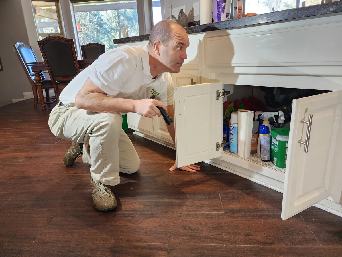 We Inspect Your Kitchen For Bugs