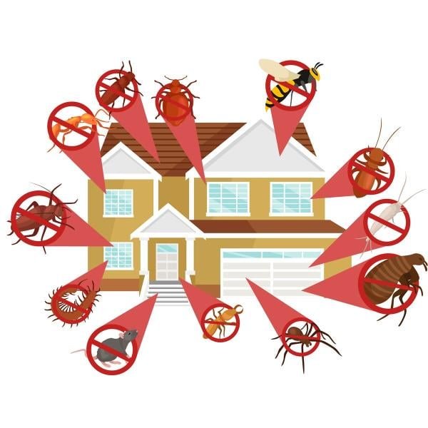 Illustration of house representing general pest control