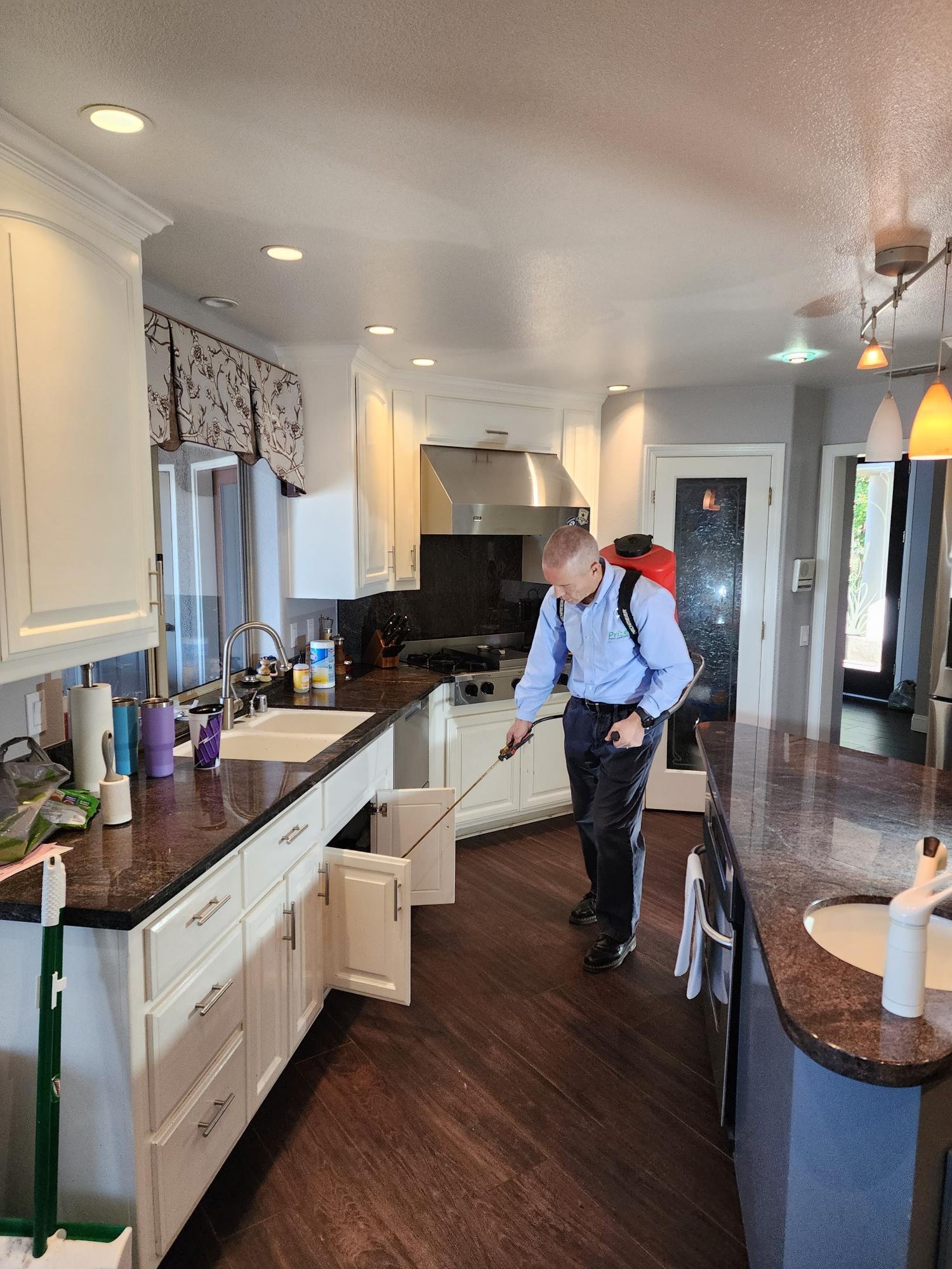 Pest control technician applying treatment in kitchen storage area