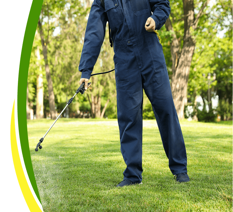 Pest control technician spraying treatment on lawn