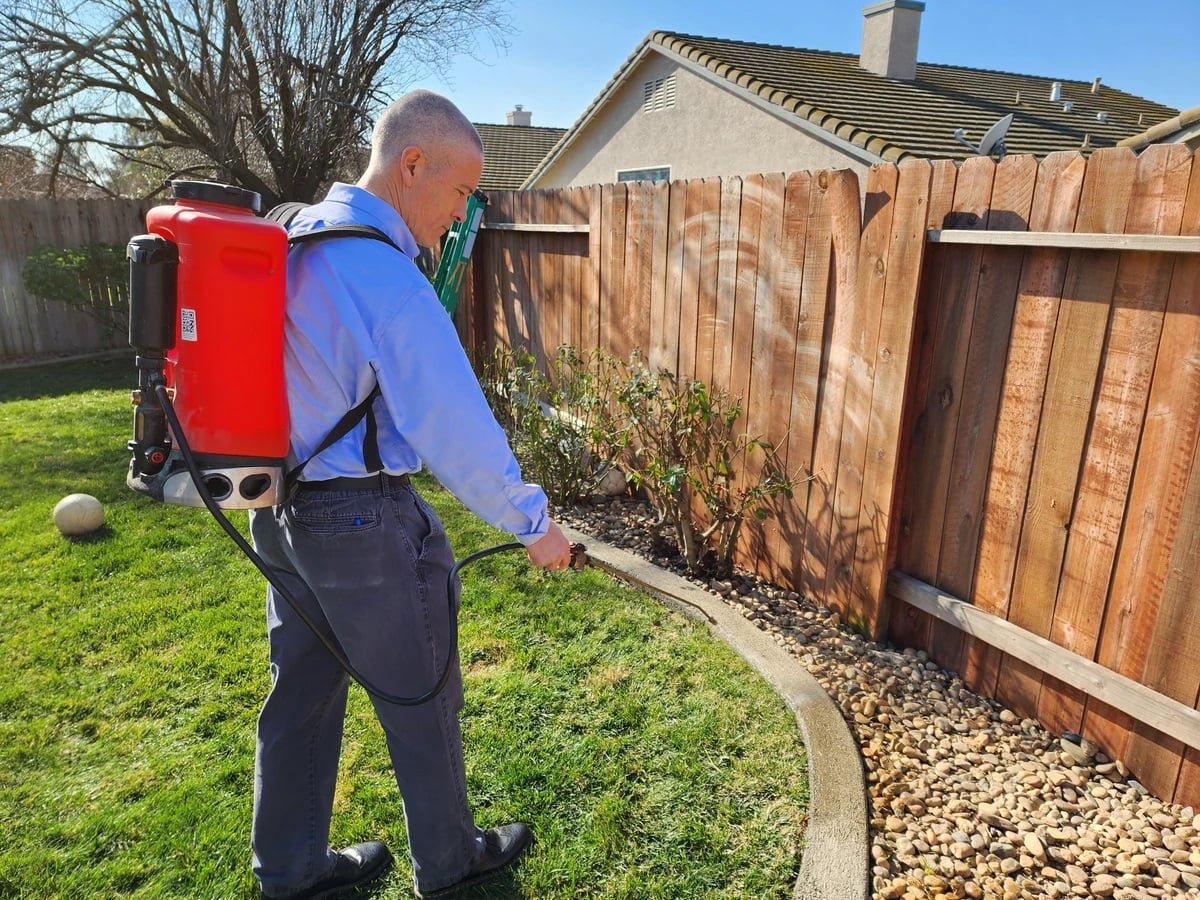 Pest control technician spraying treatment in backyard in Irving, Texas