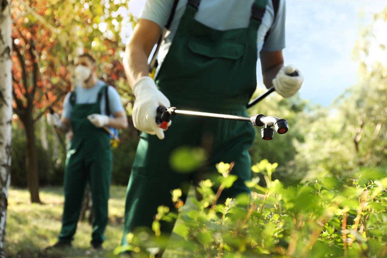 Pest control technician spraying treatment in outdoor garden