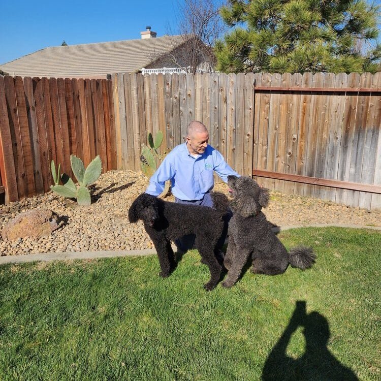 Person with two dogs in backyard